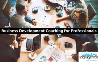 Business Development Coaching for Professional Services